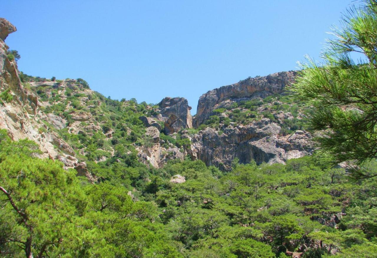 Villa Kalliopi Kucunári Kültér fotó